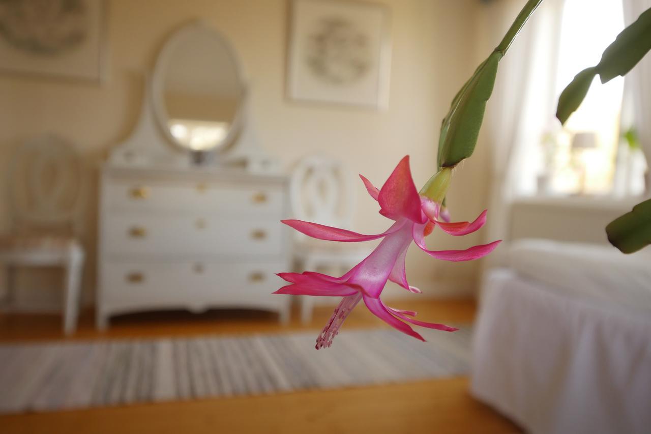 Groena Anaes Bed & Breakfast ostra Loa Eksteriør bilde