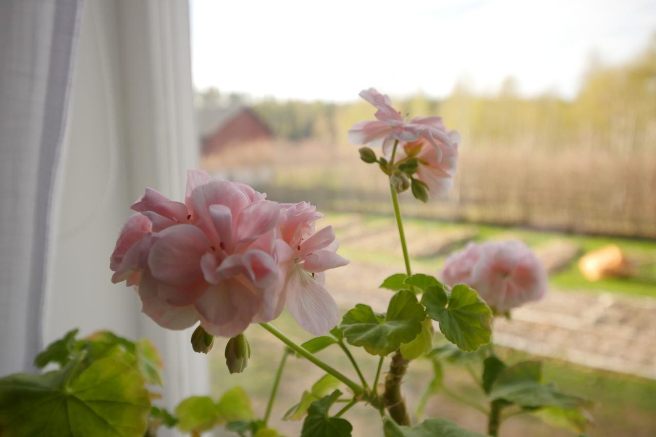 Groena Anaes Bed & Breakfast ostra Loa Eksteriør bilde